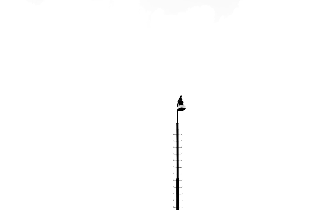 Photo short height